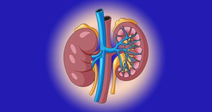 Опухоли надпочечников: причины, симптомы, профилактика